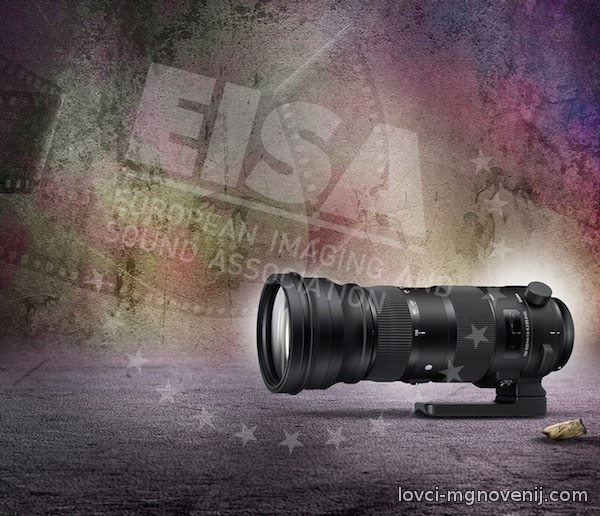 SIGMA 150-600mm F5-6.3 DG OS HSM | Sports 